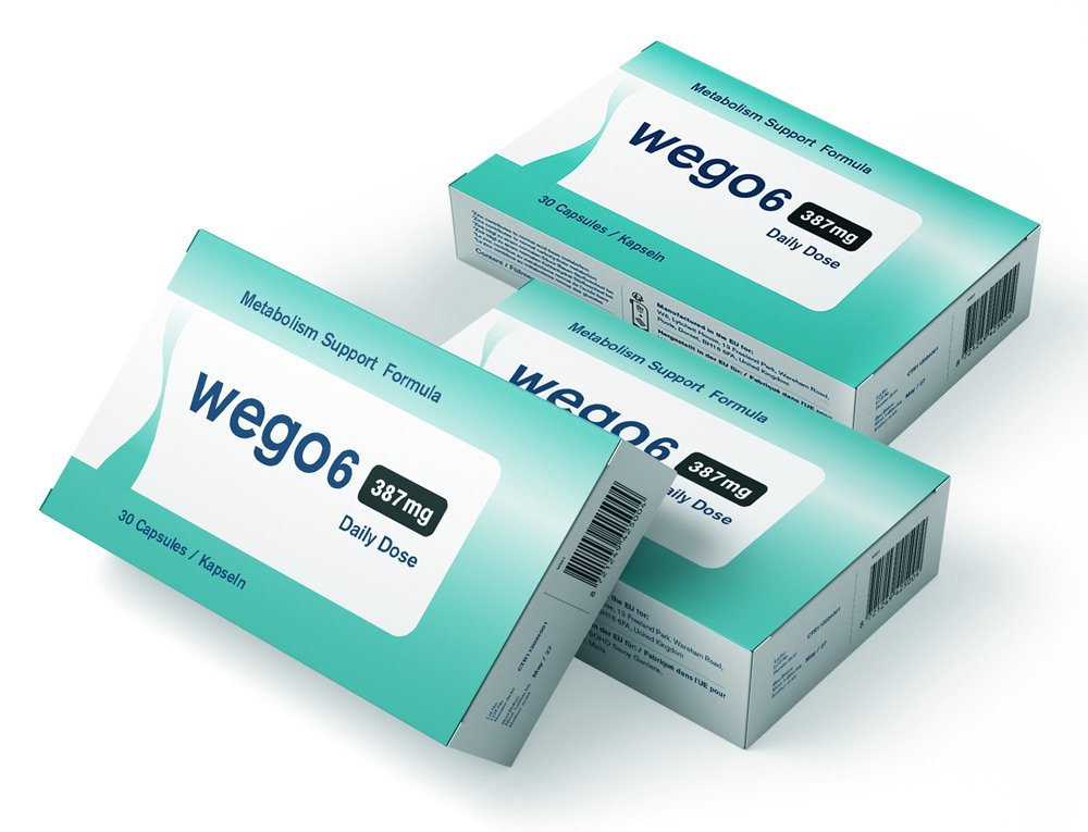 Wego6 Official Offer